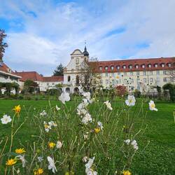 Es gibt ausgedehnte Rasenflächen und noch blühen viele Blumen.