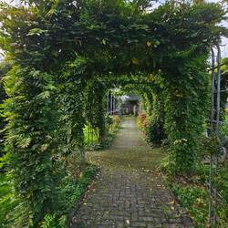 Der Garten ist sehr gepflegt.