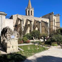 Some Roman ruins on our way to dessert