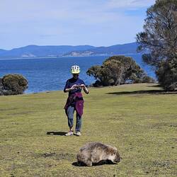 They are way more interested in eating grass than those admiring their cuteness.