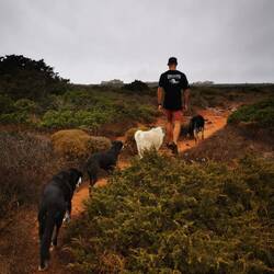 Gassi Runde mit Erik 🐕