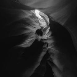 Tête de chef indien de profil ?