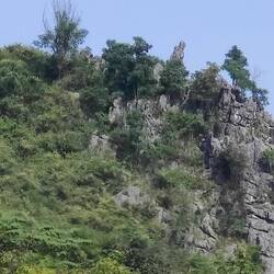 Die "Loreley"
