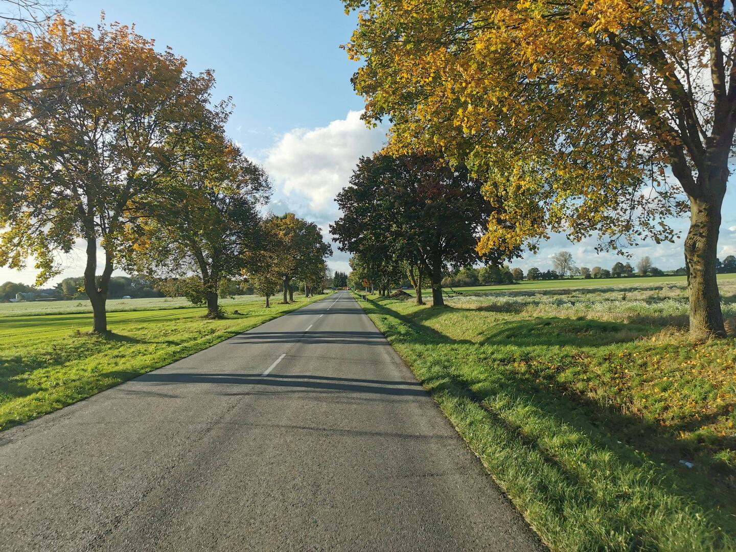 Auf der Straße Richtung Rügen....irgendwo