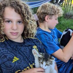Cat cuddles at Petar and Lidja's
