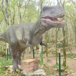 Die letzten Dinos von Sataplia 🧐😇🤣