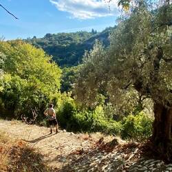... bedeckter Himmel wäre manchmal auch schön gewesen.