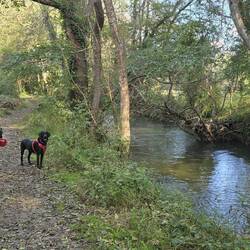 Riverside walk