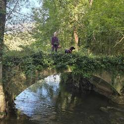 Roman bridge