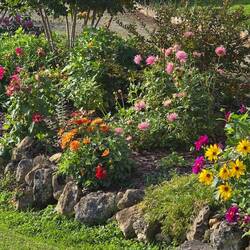 Colourful village gardens