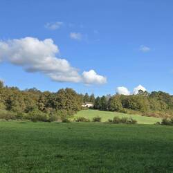 Lovely views from our walk