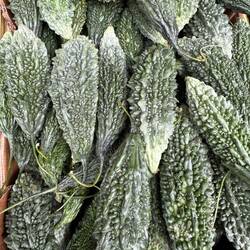 Sour cucumber we saw at a market.