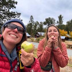 Äpfel direkt vom Baum!