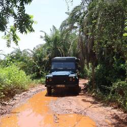 "Neue" Straße zur Lodge