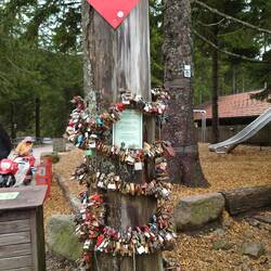 Liebesschlösser, die mal nicht ein wertvolles Bauwerk zerstören.