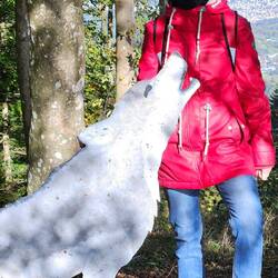 Rotmäntelchen und der böse Wolf