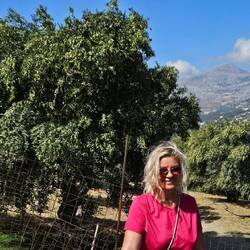 vor den Olivenhainen