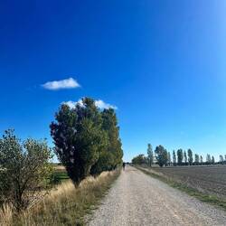 Straight ahead