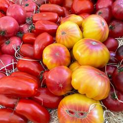 The produce is so vibrant
