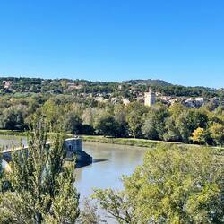 A glimpse of the bridge and looking across to Ile de la Barthelasse
