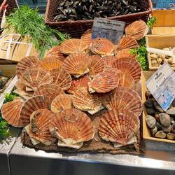 Fresh scallops - yum