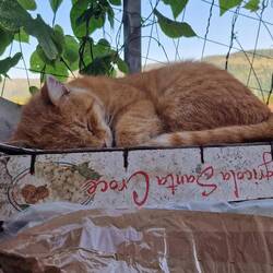 Da war aber jemand fertig. So wie wir jetzt. 😄