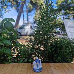 Wettertrullo zeigt schönes Wetter 😎
