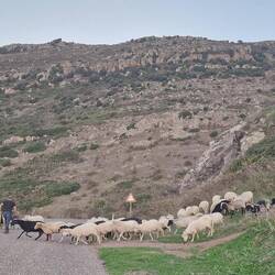Das war's. Und jetzt husch, husch ins Körbchen.