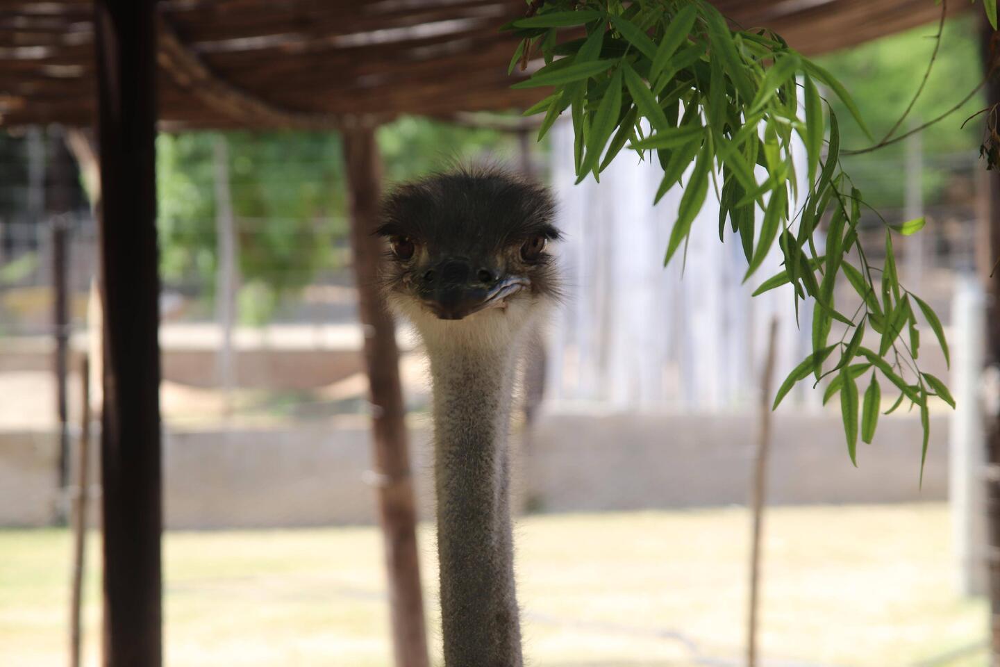 Was guckst du?