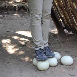 Die Eier halten schon was aus, 150kg (das war hier aber nicht nötig)