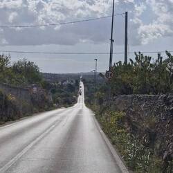 Der Weg zum Meer