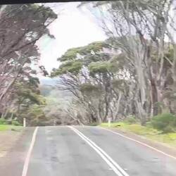 Unterwegs auf Kangaroo Island