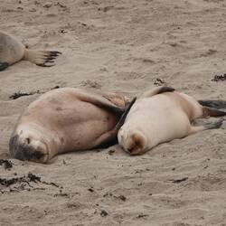 Ziemlich verschlafene Angelegenheit