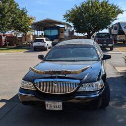 Strechlimo with horns