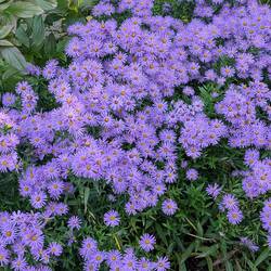 Surprisingly Beautiful Nature