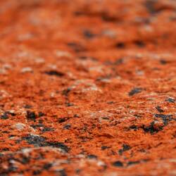 Flechten sind für die rote Farbe verantwortlich