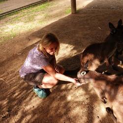 Kangaroo Island Wildlife Park