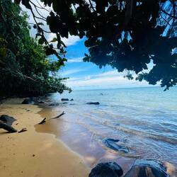 Anini Beach