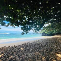 Massen an Menschen wagen sich den steilen Wanderweg hinab😂