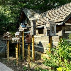 The bird houses are kind of cool