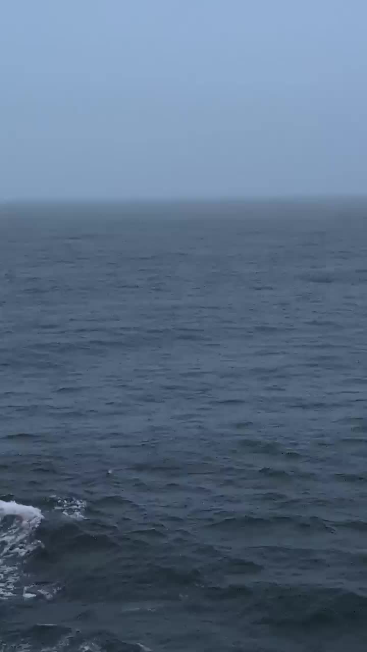 Not sure if the swell is obvious