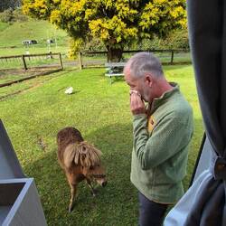 Besuch am Morgen - Vorsicht bissig