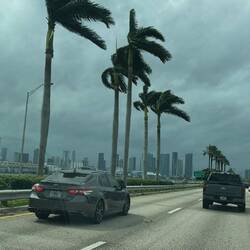 es weht ganz schon 1 Tag vor Milton