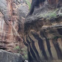 Zion NP, the Narrows