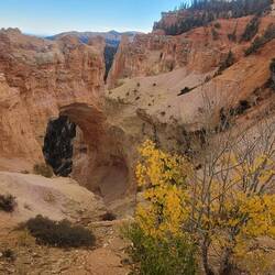 Bryce Canyon , Natural Bridge