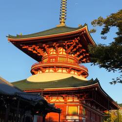 The largest pagoda at the Naritasan Shinsho-ji.