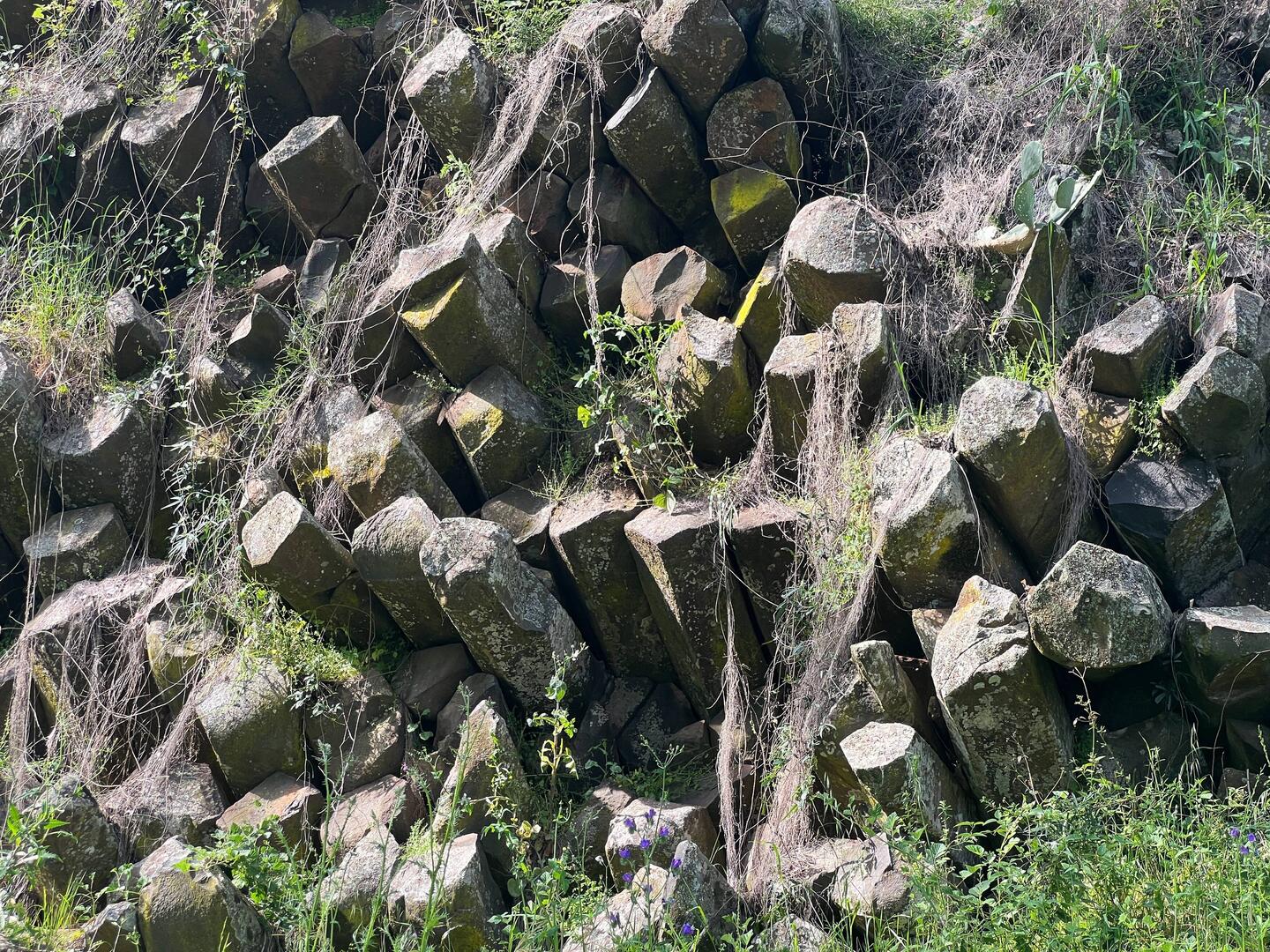 Die Basaltsäulen