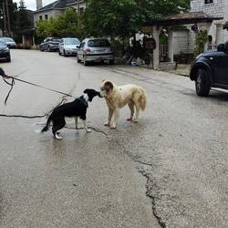 Hallo, wer bist du, von wo kommst du?