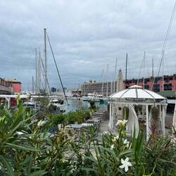 Marina view