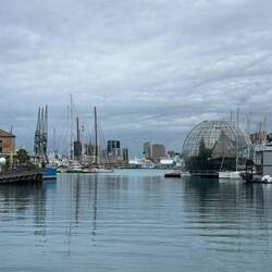 Cranes and biosphere from the aquarium